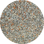 Uccello Gouldian Finch Classic - New York Bird Supply