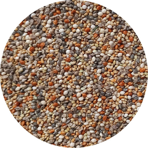 Uccello Mega 6 Millet Mix - New York Bird Supply