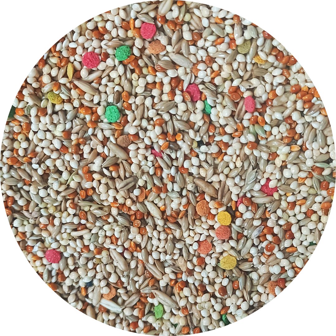 Parakeet Blends