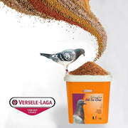 Versele-Laga All In One Mineral Grit - New York Bird Supply