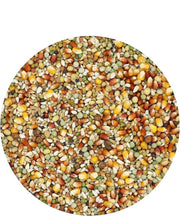 Versele-Laga Champion I.C. Plus - New York Bird Supply