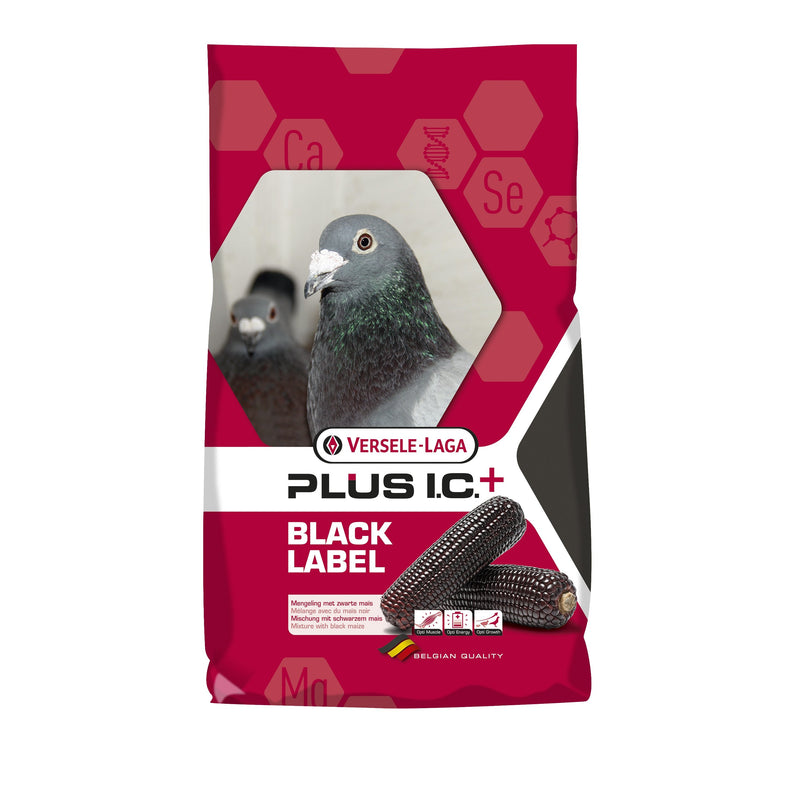 Versele-Laga Gerry Plus I.C. Black Label - New York Bird Supply