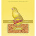 Volkman Avian Science Canary 20lb - New York Bird Supply