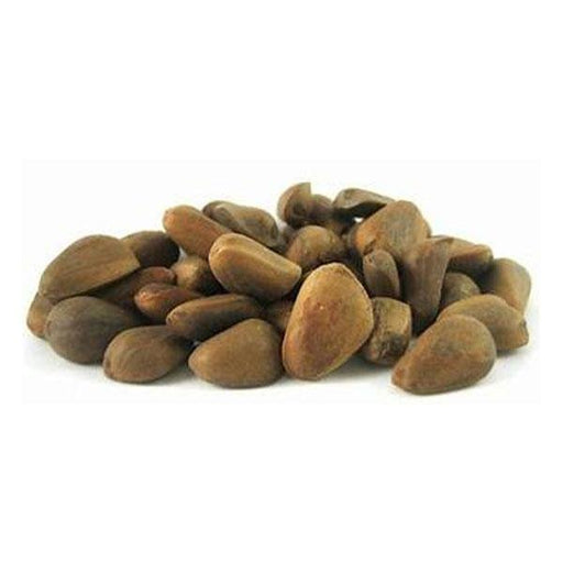 Volkman Pine Nuts 50lb - New York Bird Supply