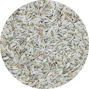 White Lettuce Seed - New York Bird Supply