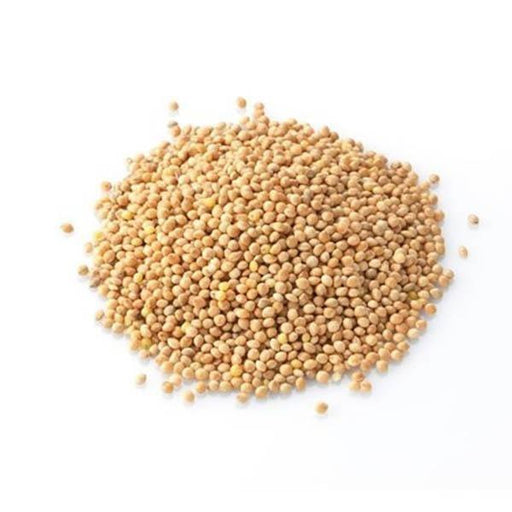 White Millet - New York Bird Supply