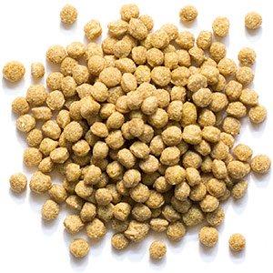 Zupreem Natural Medium Bird (Cockatiel) - New York Bird Supply