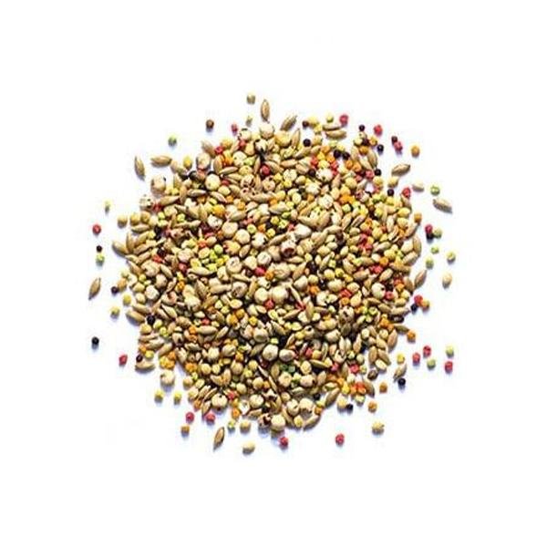 Zupreem Sensible Seed Small Bird - New York Bird Supply